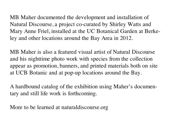 http://chk-97900.mbmaher.com/files/gimgs/th-4_natural.jpg